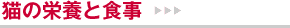 �L�̉h�{�ƐH��