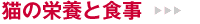 �L�̌��N