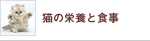 �L�̉h�{�ƐH��