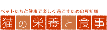�L�̉h�{�ƐH��