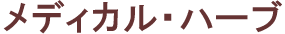 �T�v�������g