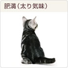 �얞�i����C���j