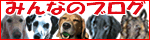 �݂�Ȃ̃u���O