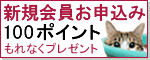 �V�K���