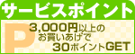 �T�[�r�X�|�C���g
