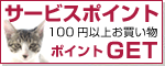 �T�[�r�X�|�C���g