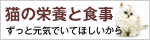 �L�̉h�{�ƐH��