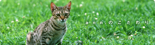 ann.�̂������