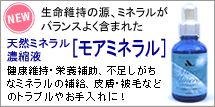 �V�R�~�l�����Z�k�t�E���A�~�l����