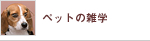 �y�b�g�̎G�w
