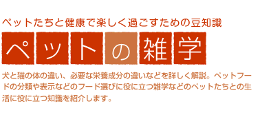 �y�b�g�̎G�w