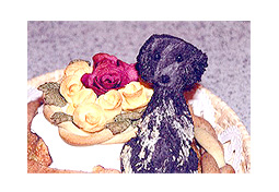 バースデーケーキ オンリーワンコケーキ