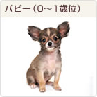 �p�s�[�i0�`1�΂��炢�j