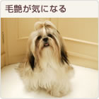�тÂ₪�C�ɂȂ�