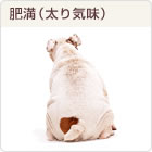 �얞�i����C���j