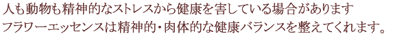 �l�����������_�I�ȃX�g���X���猒�N���Q���Ă���ꍇ������܂��B�t�����[�G�b�Z���X�͐��_�I�E���̓I�Ȍ��N�o�����X�𐮂��Ă���܂��B