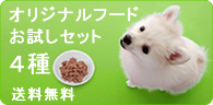 �A�������߂��Z�b�g