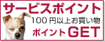 サービスポイント