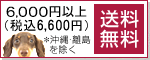 5,000円以上で送料無料