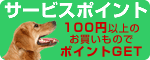 �T�[�r�X�|�C���g