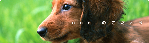 ann.�̂������