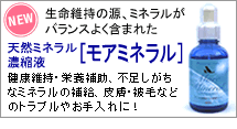 �V�R�~�l�����Z�k�t�E���A�~�l����